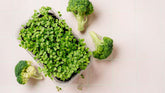 Broccoli Microgreens | Grace Harbor Farms