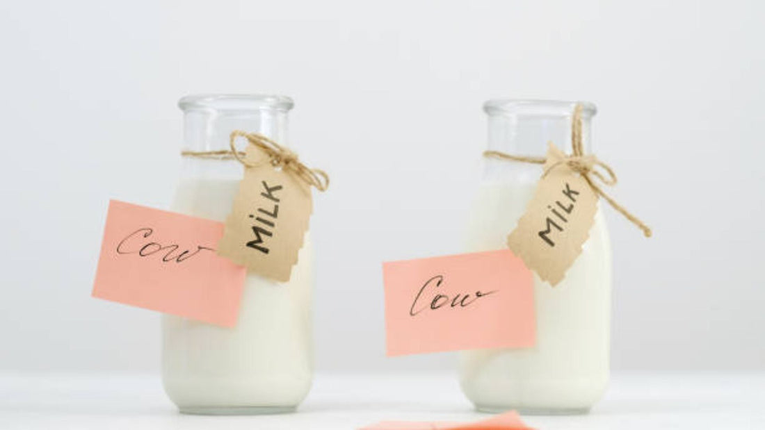 Tips for Keeping Farm Milk Fresh Longer