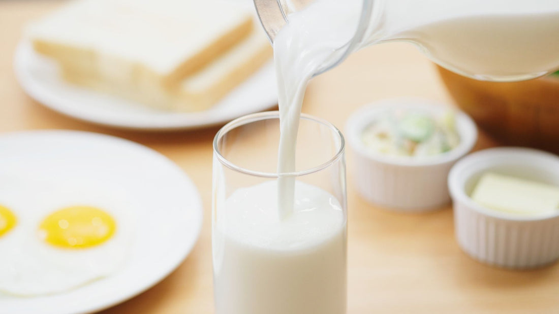 High protein dairy | Grace Harbor Farms