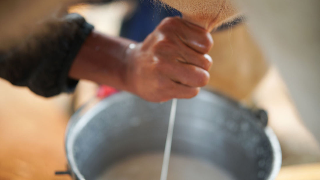 Is Whole Milk Healthy
