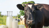Grass-fed vs organic