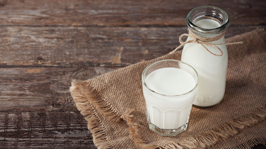 Is Goat Milk Easier to Digest? What to Know