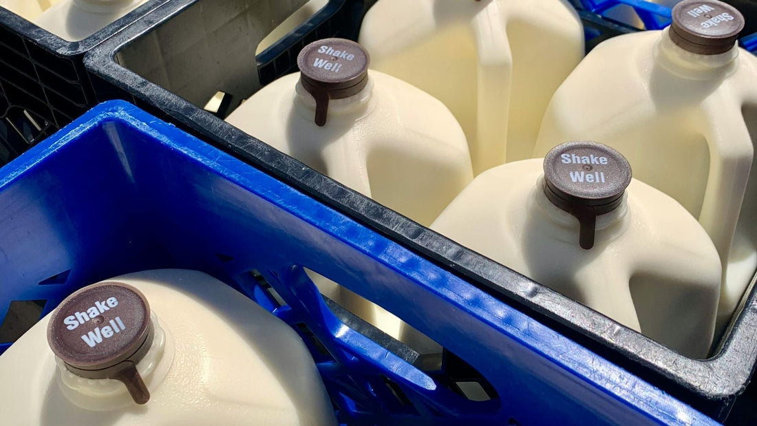 Whole milk vs 2%