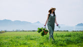 Sustainable Farming