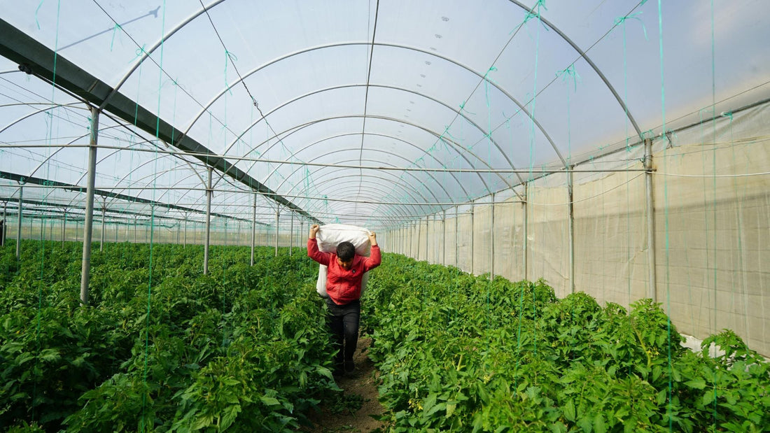 Regenerative Agriculture