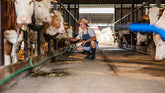The Dairy Farm Near Lynden Worth the Short Drive