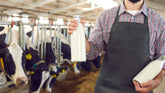 Farm to Table in Whatcom County A Local Eating Guide