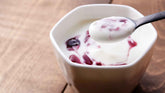 Fresh Yogurt Near Lynden, Washington