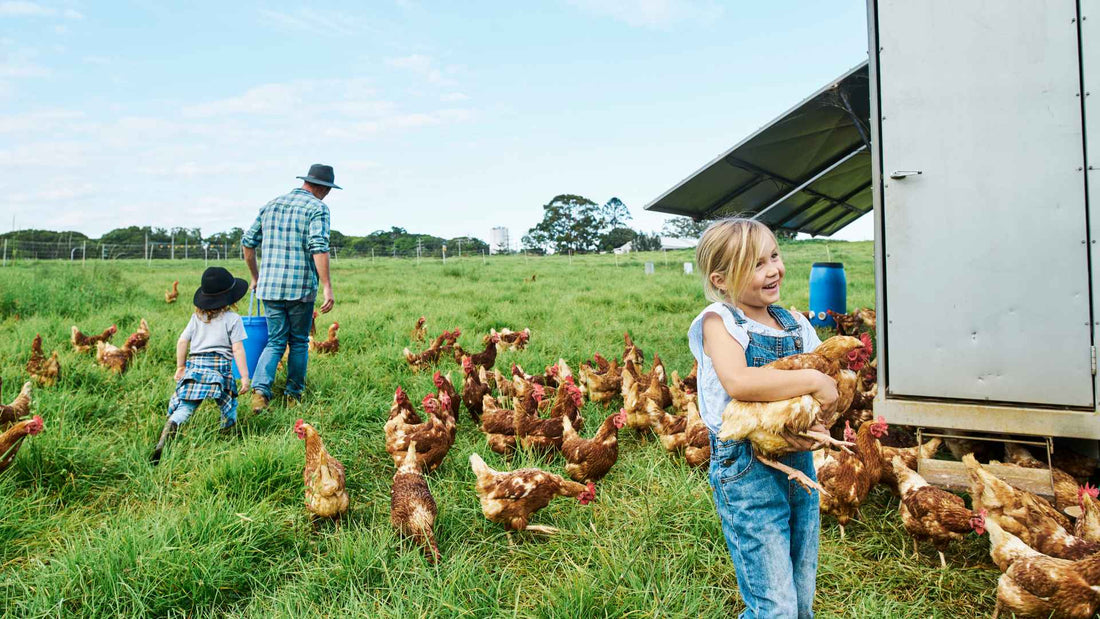 Why a Family-Owned Farm Makes Better Dairy and Eggs