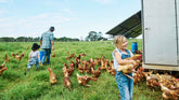 Why a Family-Owned Farm Makes Better Dairy and Eggs