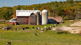Family Farm Dairy: The Real Difference You Can Taste and Trust