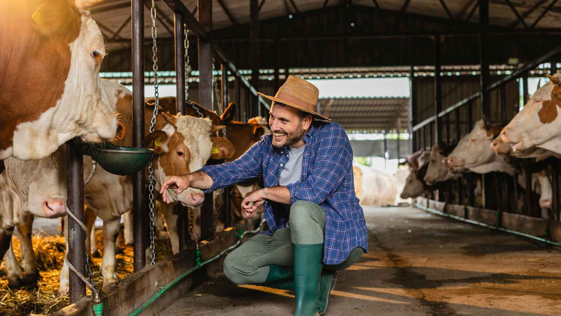 Small batch dairy