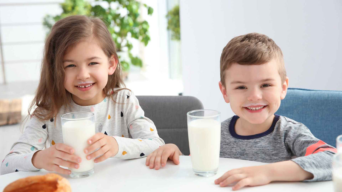 Healthy Food for Kids: A Parent's Practical Guide to Real Nutrition
