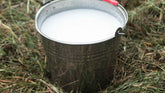 Local Milk Near Lynden WA: A Fresh Dairy Guide