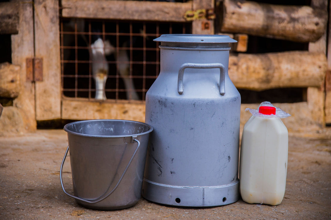 Natural Dairy Products The Truth Behind the Label