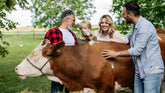 Organic Dairy Bellingham Shoppers Can Trust