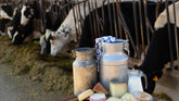 Organic Dairy Near Lynden: Natural Products Worth Knowing About