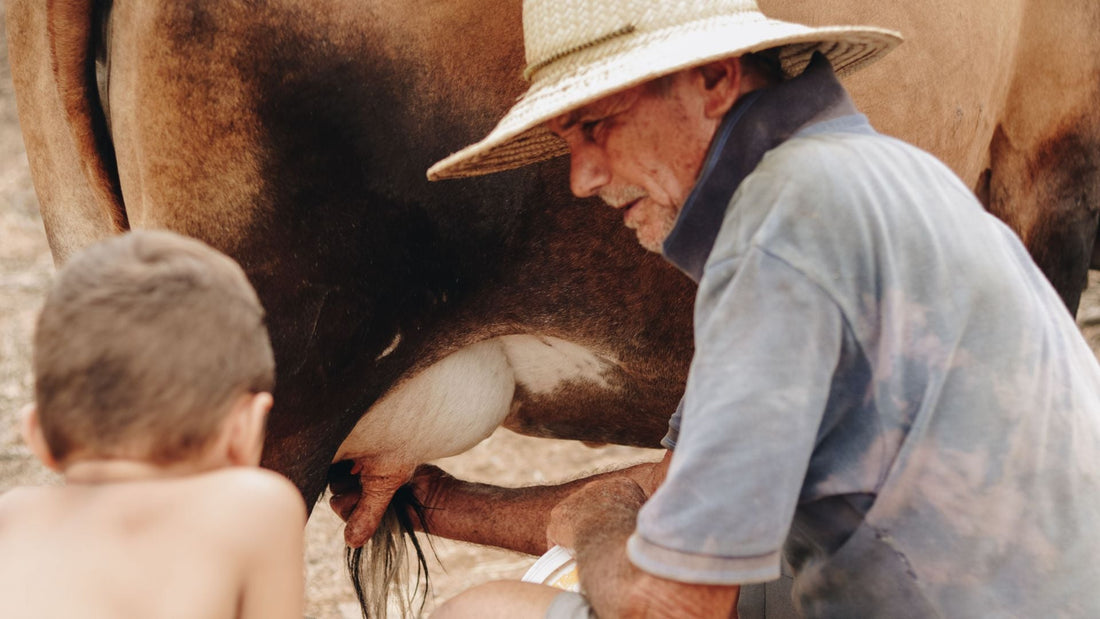 Building Trust in Your Dairy Source