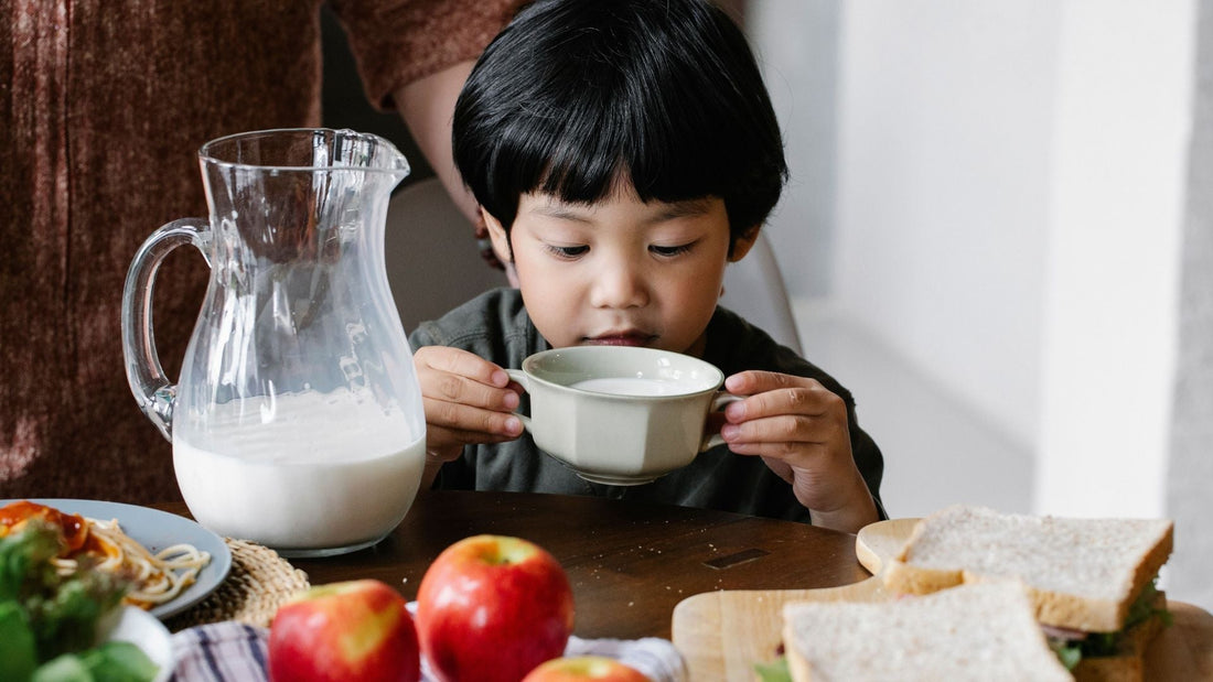 Wholesome Food for Kids: What Every Parent Needs to Know
