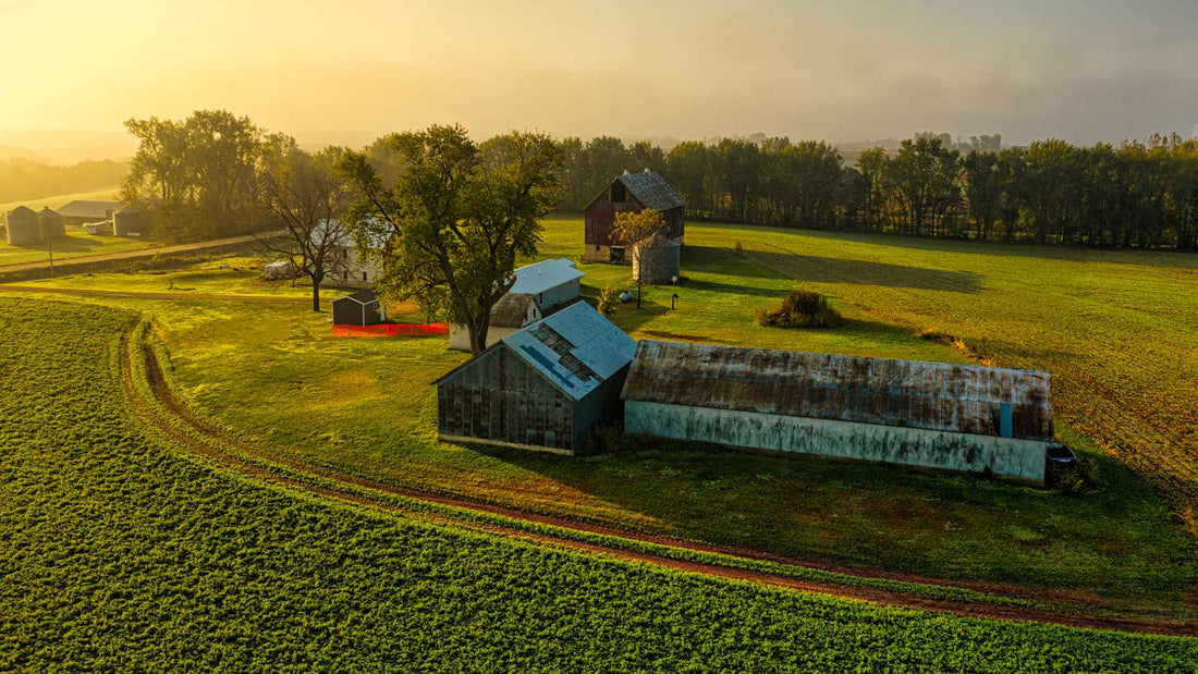 What Makes a Whatcom County Dairy Farm Different From the Rest