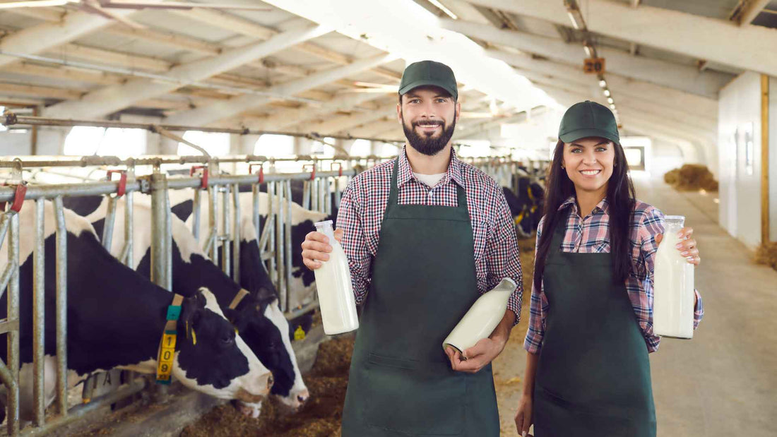 Your Guide to the Farm Store Everson Families Trust