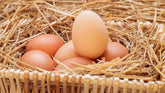 Organic Eggs Bellingham Shoppers Trust From the Farm