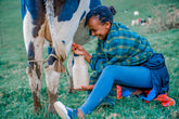 The Difference Between Goat Milk and Cow Milk: Nutrition, Digestion, and Taste