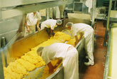 Local vs Commercial Dairy