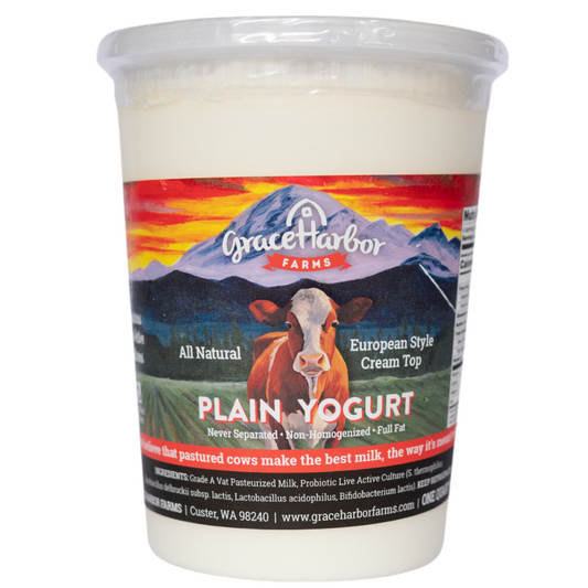Plain Yogurt