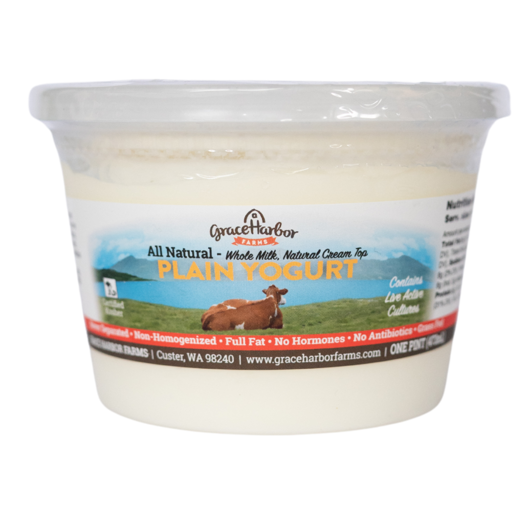 Plain Yogurt 16oz