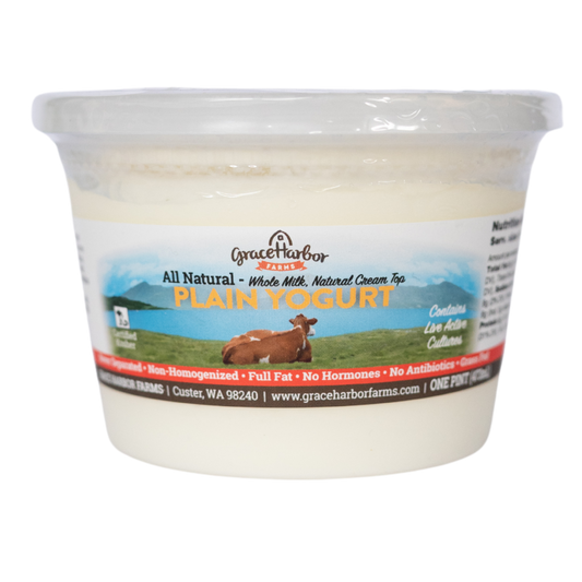 Plain Yogurt 16oz