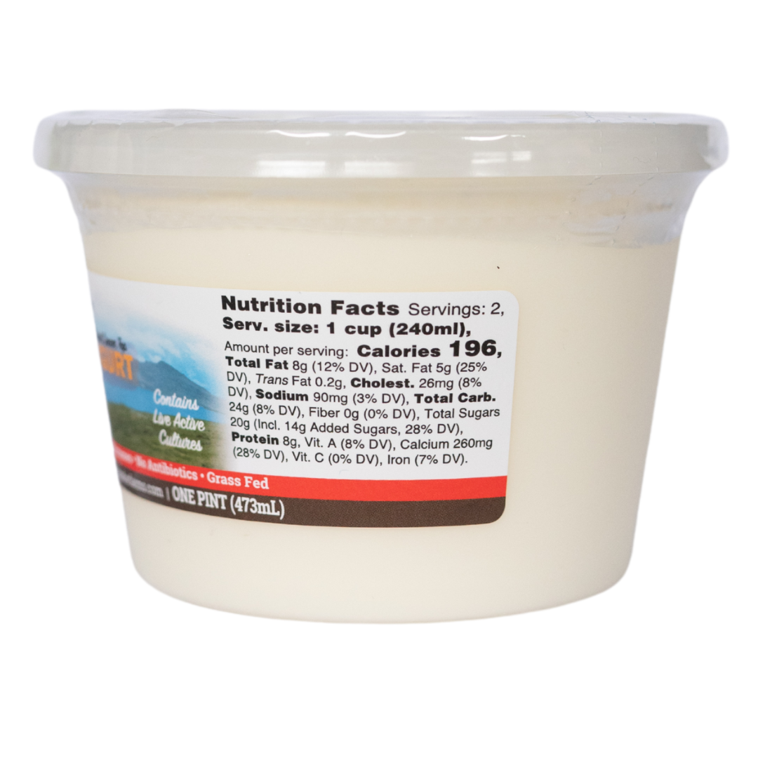 Plain Yogurt 16oz