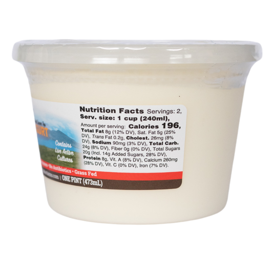 Plain Yogurt 16oz