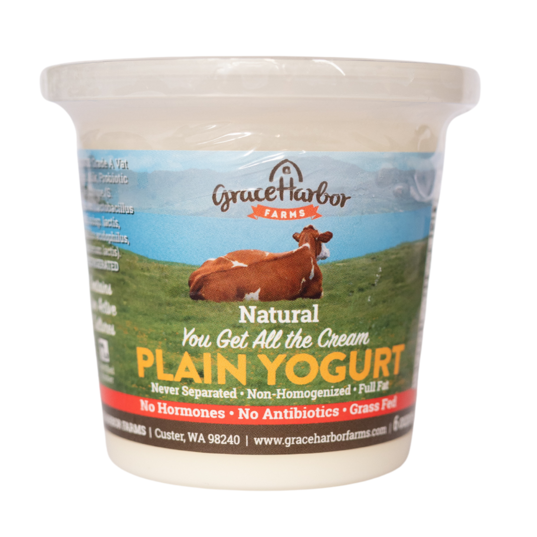 Plain Yogurt 6oz