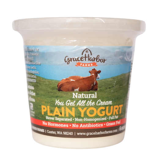 Plain Yogurt 6oz
