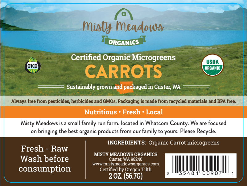 Carrot Microgreens