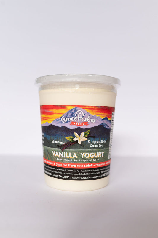 Plain Yogurt  -Test 5