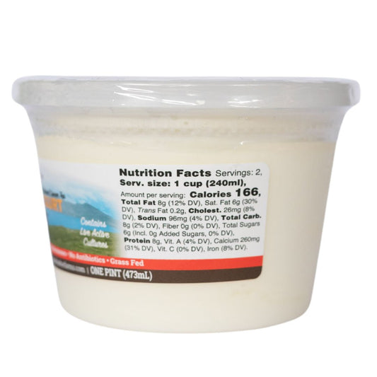 Vanilla Yogurt